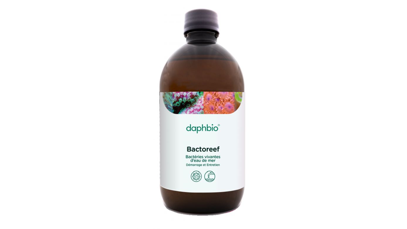 daphbio Bactoreef 500 ml