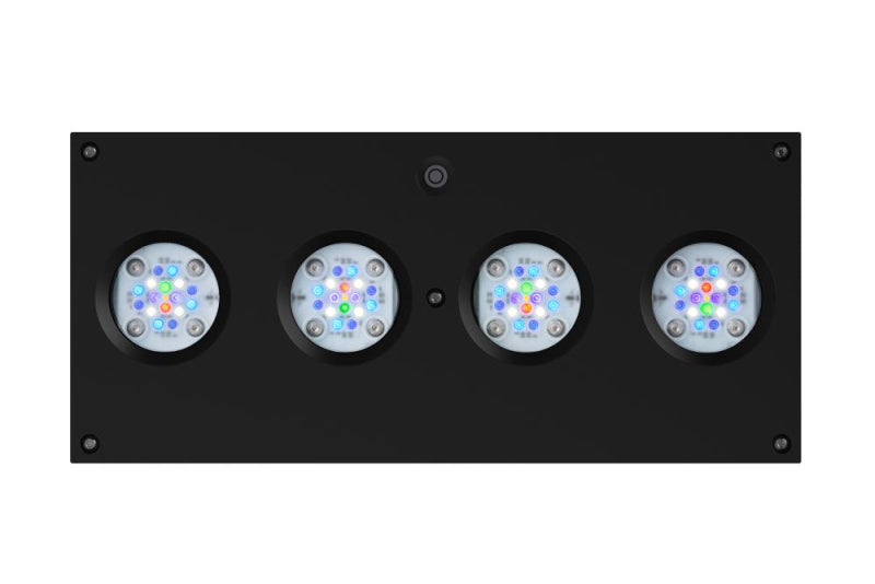 AI Hydra HD 64 LED schwarz