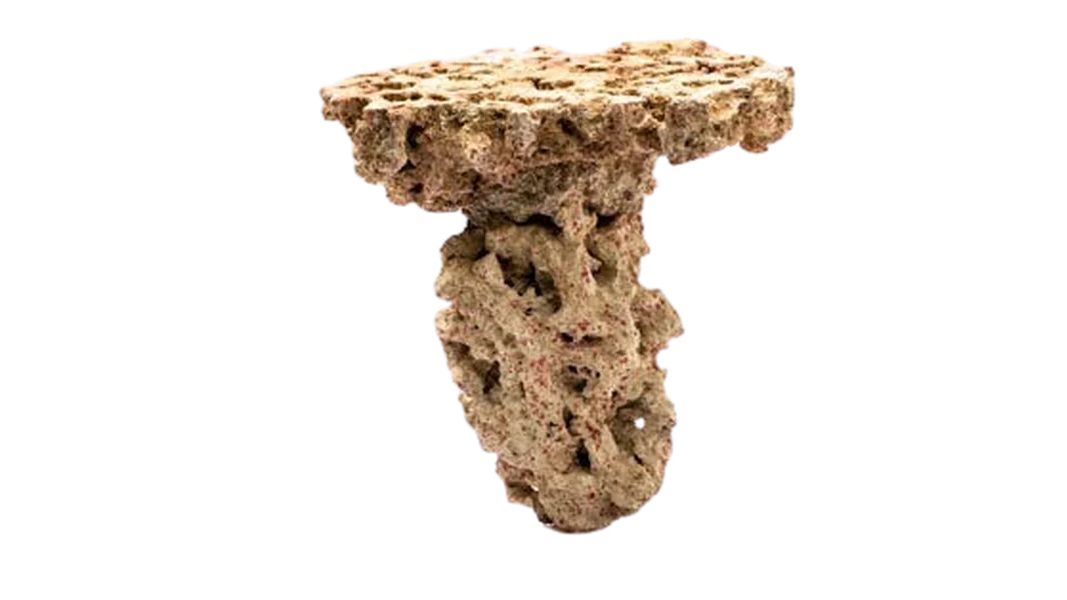 CaribSea Moani Shrooms 2 per box 9,07 kg