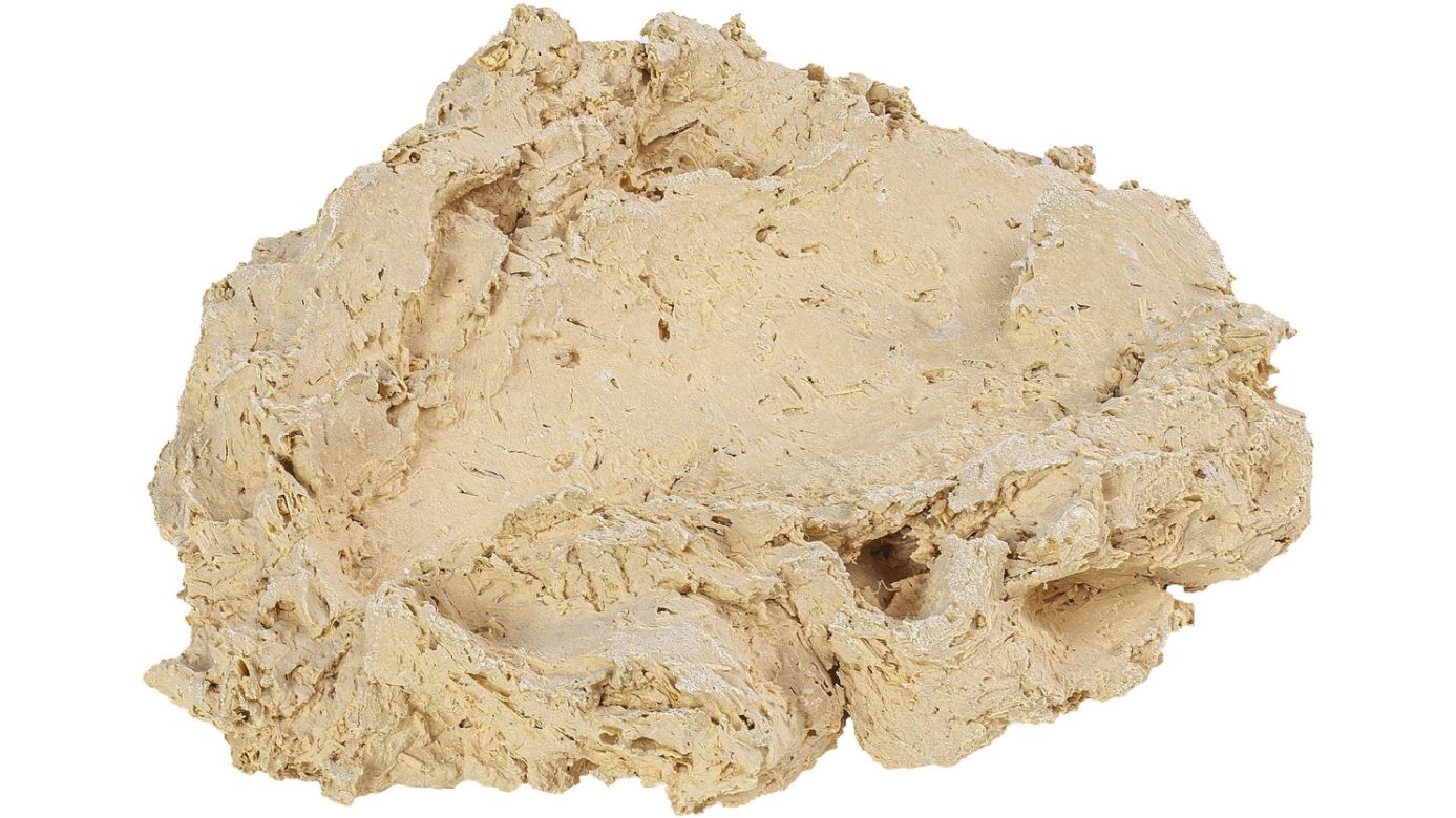 ARKA Riffkeramik Muschelhalter S (MHS)