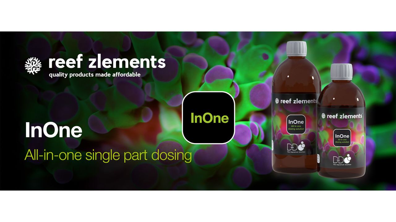 Reef Zlements InOne Dosing Dosierlösung 1000 ml
