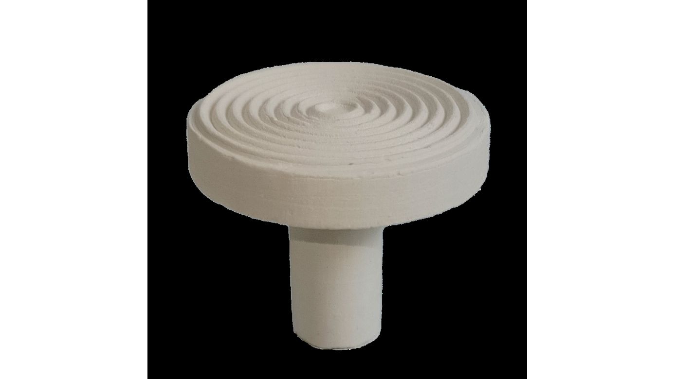 Fauna Marin Maxi Reef Disc Ø 3,3cm Maxi Ablegersteine (12 St.)