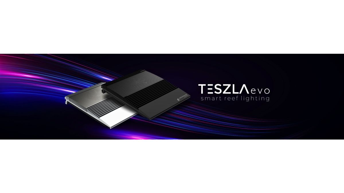 Giesemann TESZLA evo marine schwarz (90 W)