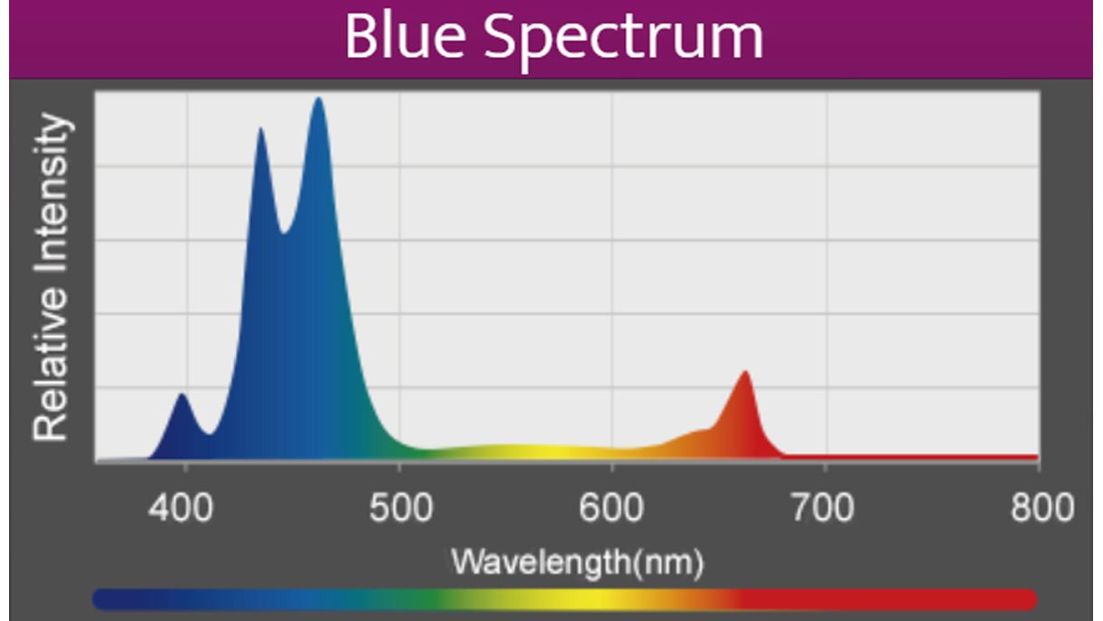 Kessil A360X Refugium LED (max. 90 W)