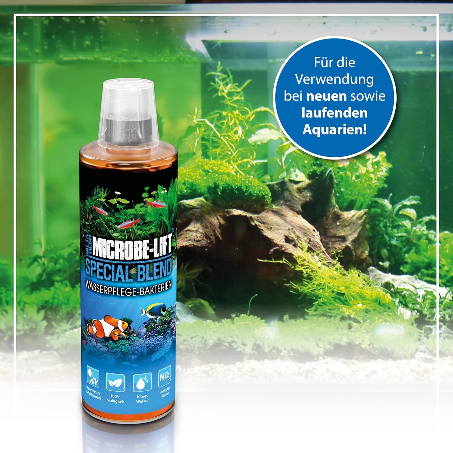 Microbe-Lift Special Blend Wasserpflege Bakterienmischung 473 ml