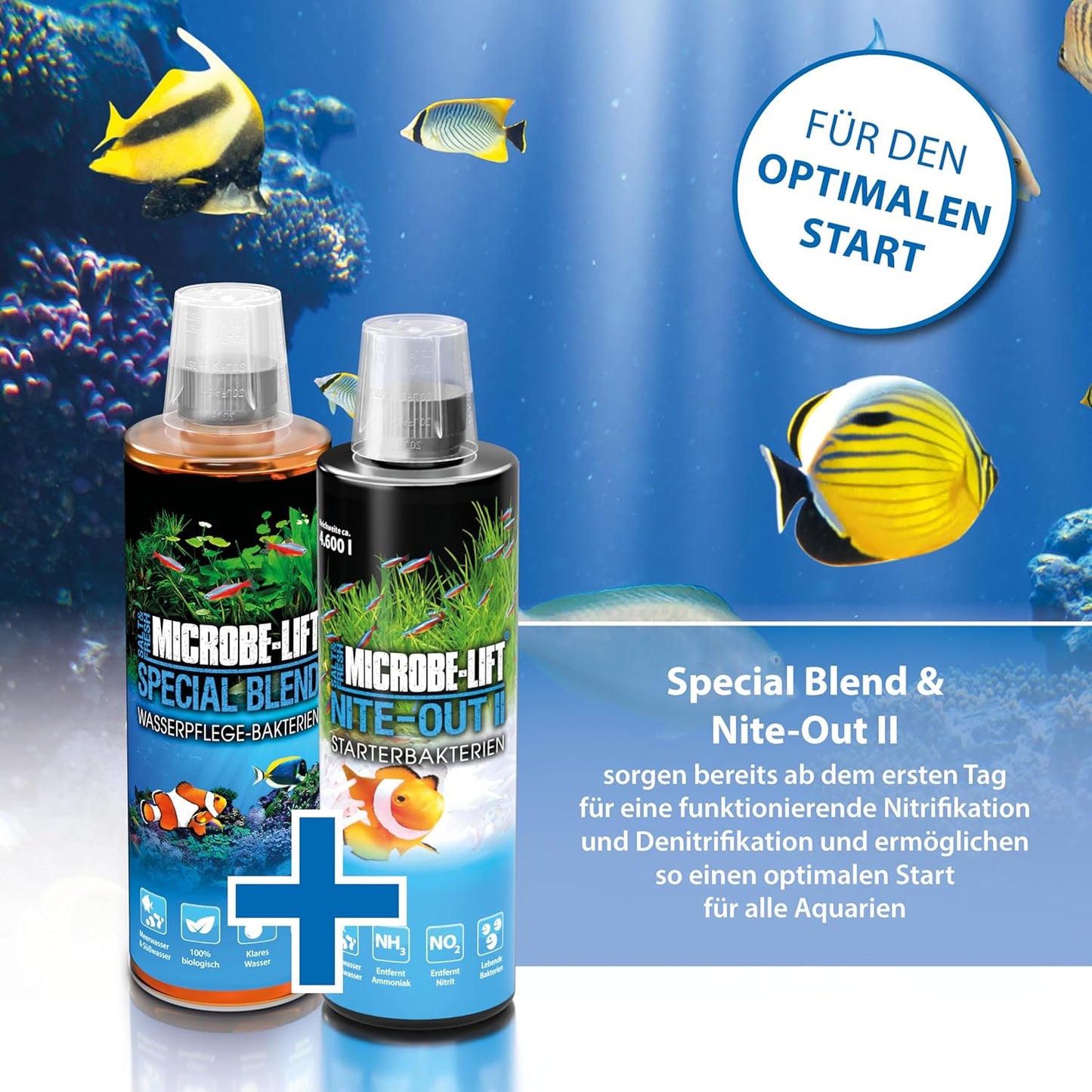 Microbe-Lift Special Blend Wasserpflege Bakterienmischung 473 ml