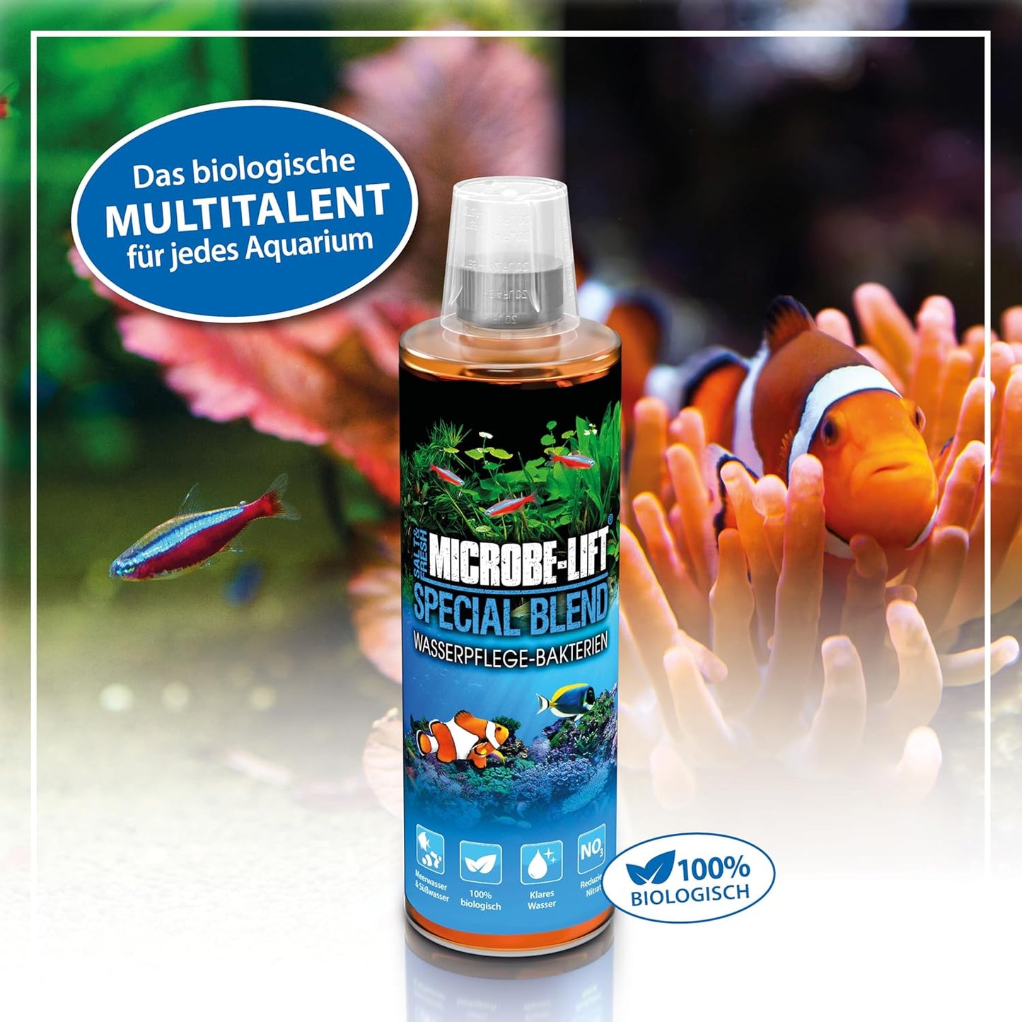 Microbe-Lift Special Blend Wasserpflege Bakterienmischung 473 ml