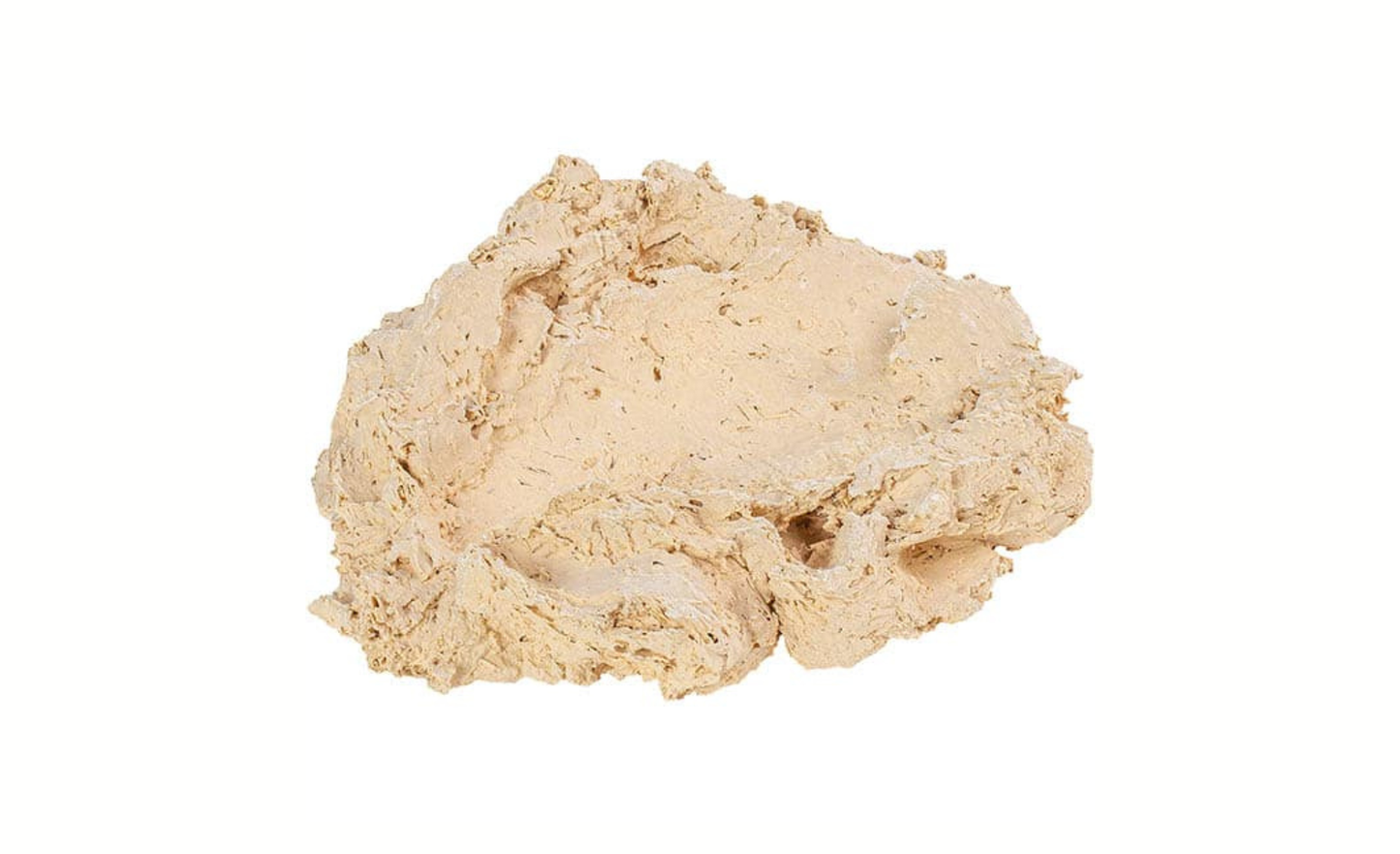 ARKA Riffkeramik Muschelhalter L (MHL)