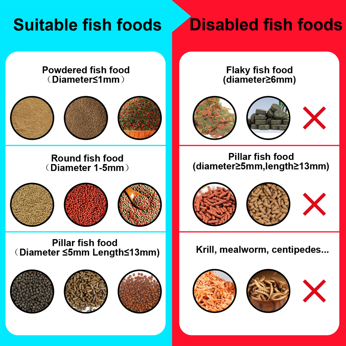 Visual Fish Feeder Futterautomat mit App und Kamera