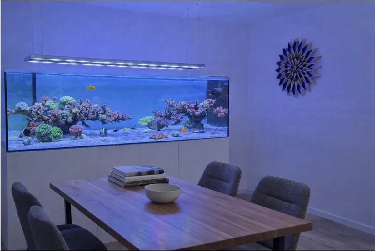aquaLEDs aquaBAR30 Gen4 Reef 35 cm inkl. Seilaufhängung (30 W)