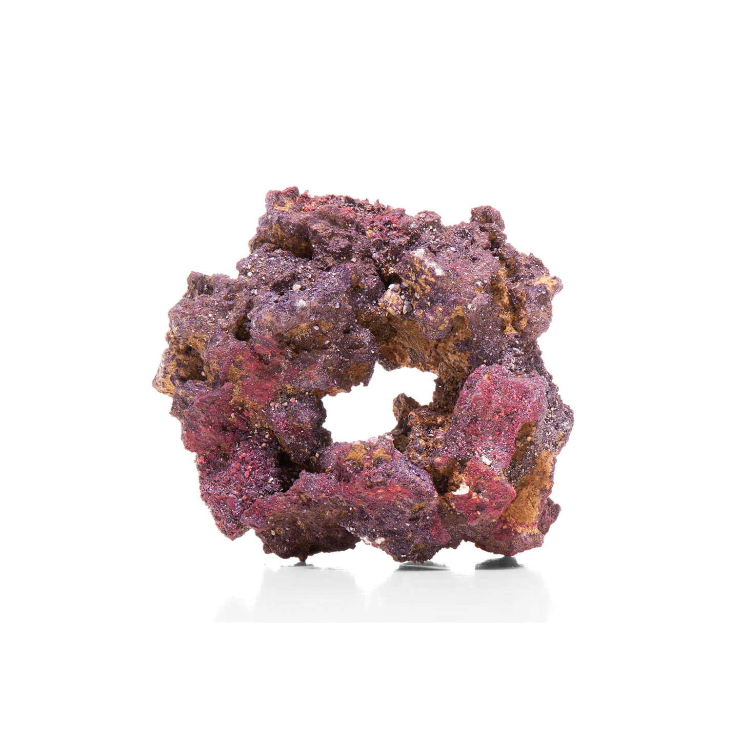 CaribSea LifeRock Donuts 4 per box (ca. 18cm)