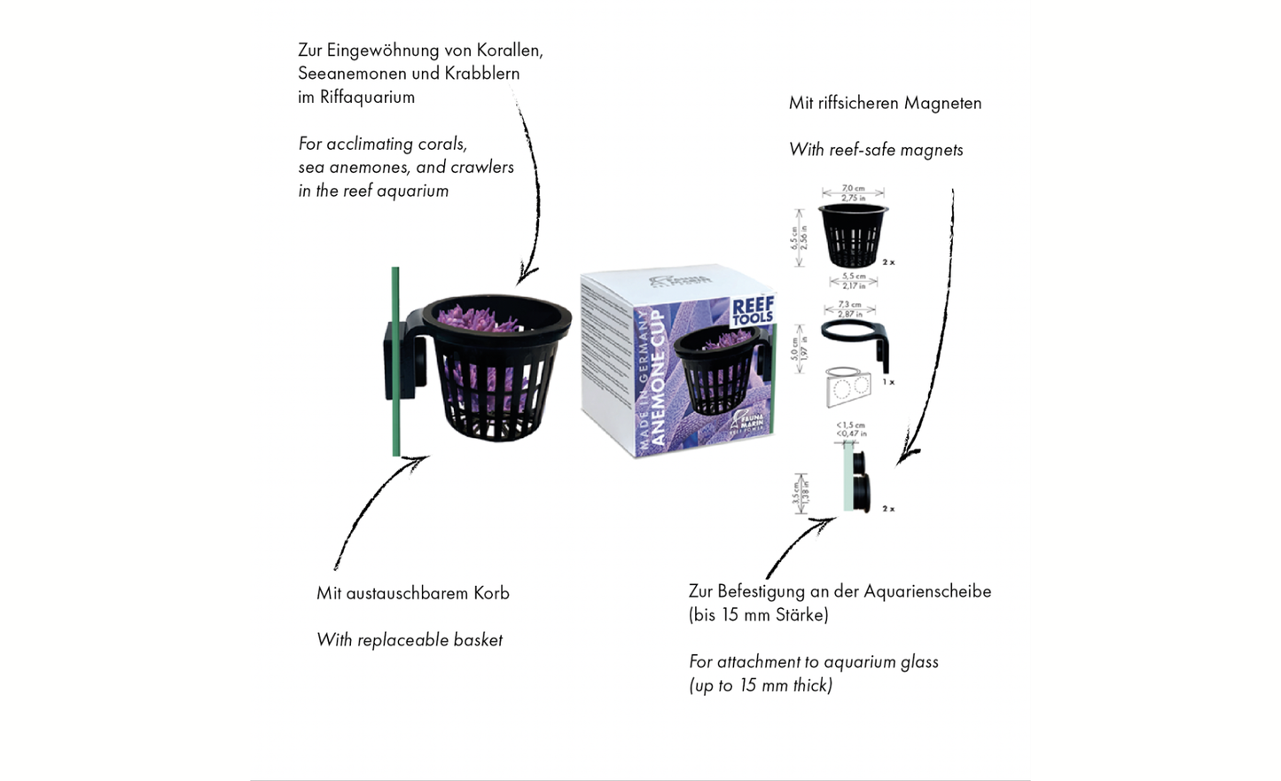 Fauna Marin Anemone Cup Korb zur Eingewöhnung von Korallen, Seeanemonen und Krabblern