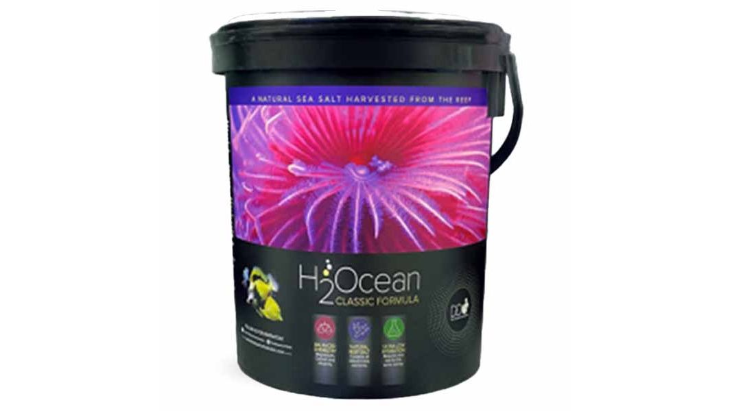 D-D H2Ocean Classic Formular Meersalz 6,6 kg Eimer