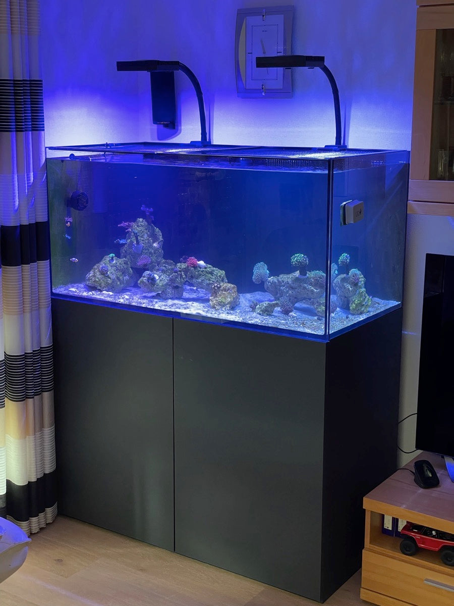 D-D AQUA-Pro Reef 1200 Black Gloss 120x60x56cm Aquariumsystem mit Holzschrank