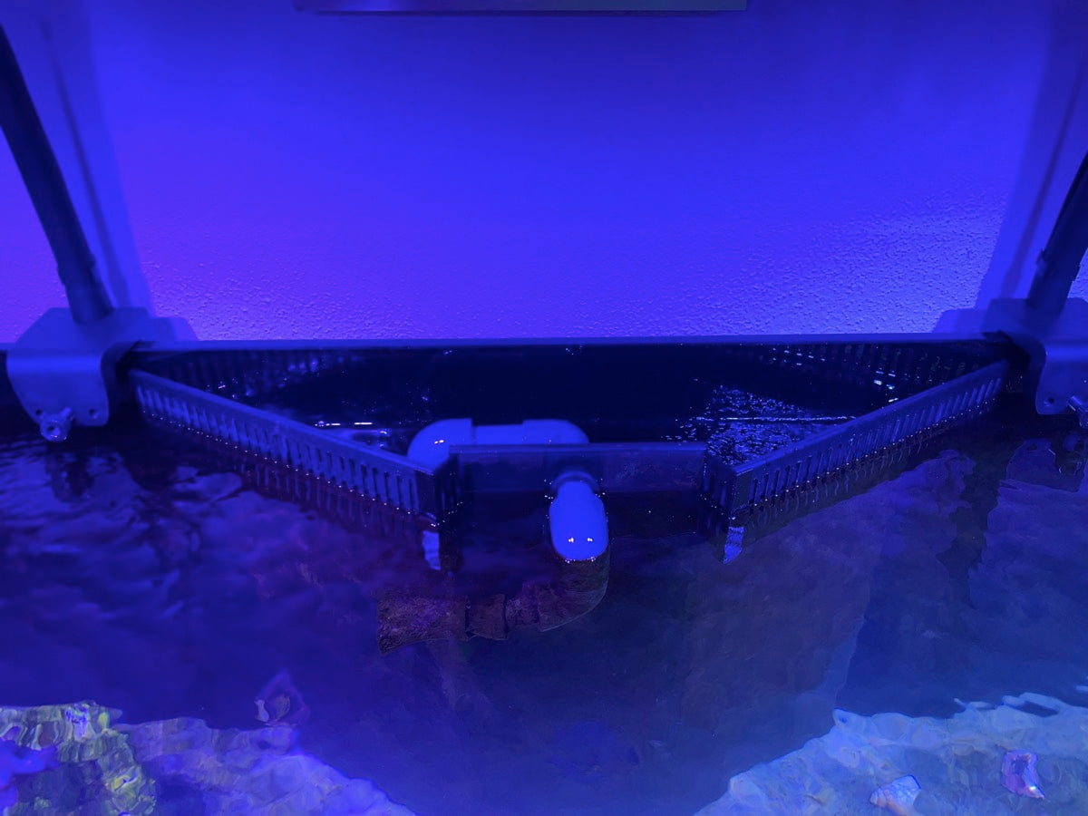 D-D AQUA-Pro Reef 1200 Driftwood Concrete 120x60x56cm Aquariumsystem mit Holzschrank