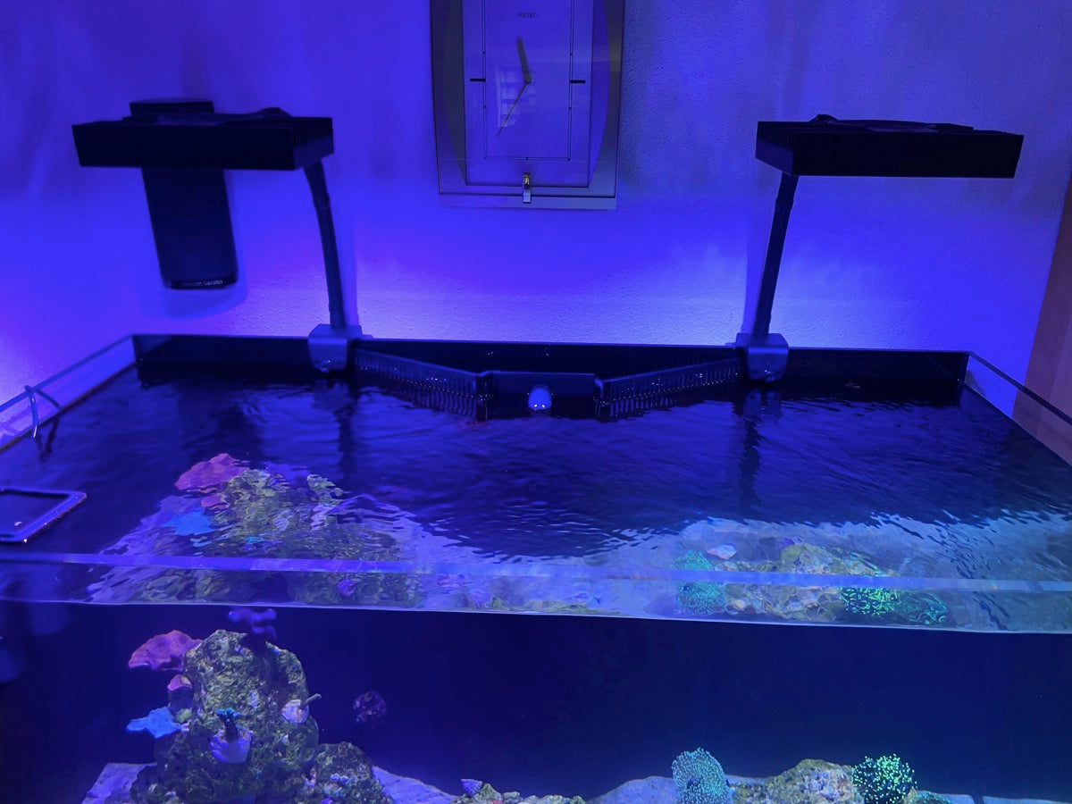 D-D AQUA-Pro Reef 1200 Black Gloss 120x60x56cm Aquariumsystem mit Holzschrank