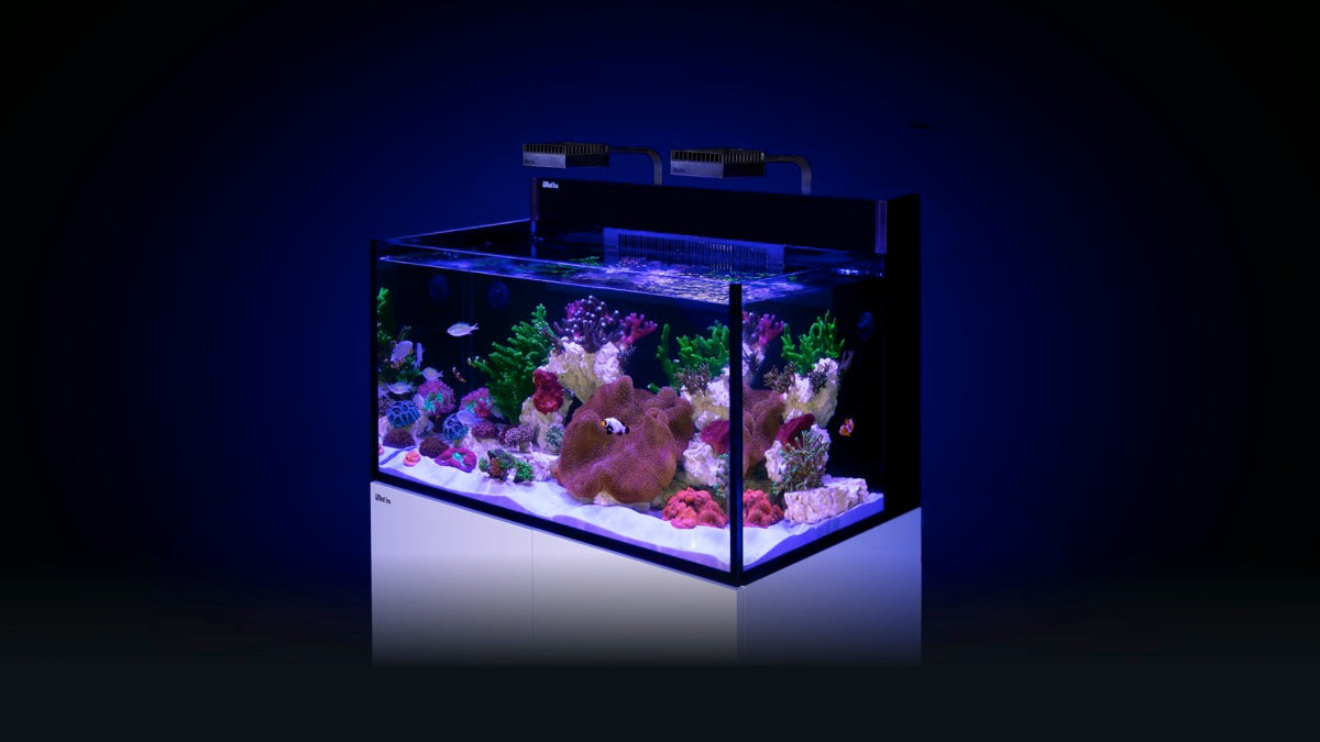 *NEU* Red Sea MAX NANO G2 XXL exkl. Unterschrank (R40092G2-EUR)