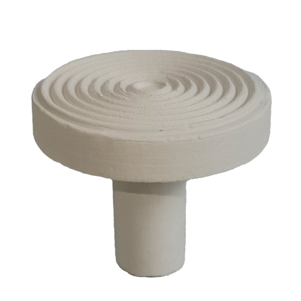 Fauna Marin Maxi Reef Disc Ø 3,3cm Maxi Ablegersteine (12 St.)
