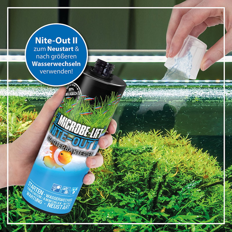 ARKA Nite-Out II Starterbakterien 118ml