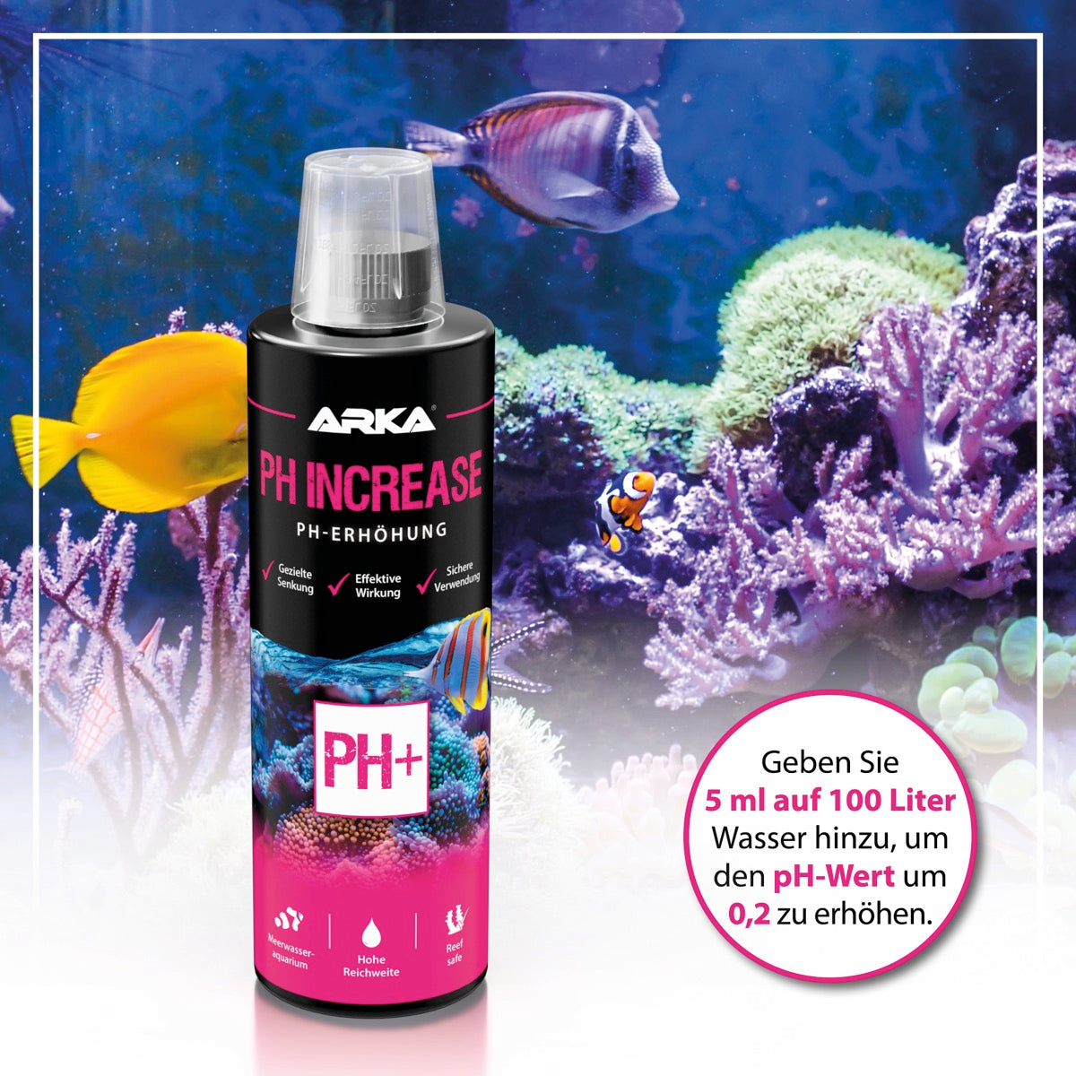 ARKA pH Increase pH-Wert sicher erhöhen 473 ml