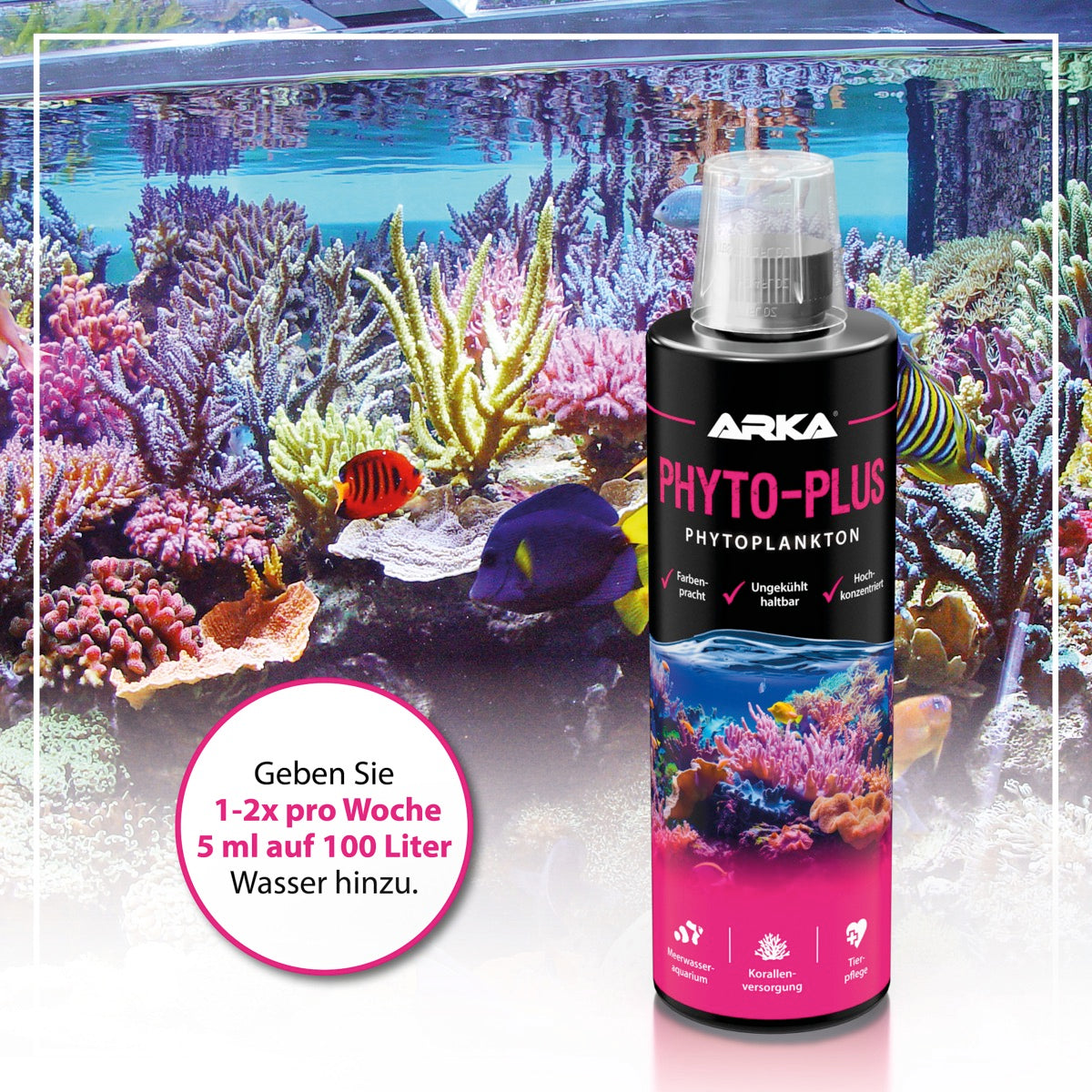ARKA Phyto-Plus Pflanzliches Plankton 473 ml