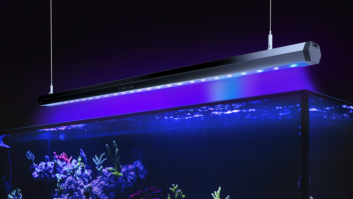 Reef Factory Reef flare Bar 2 M schwarz (90cm)
