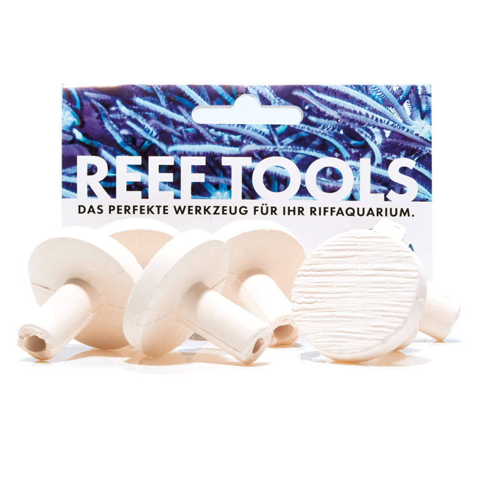 Fauna Marin Maxi Reef Disc Ø 3,3cm Maxi Ablegersteine (12 St.)