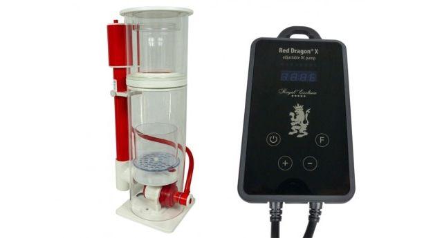 Royal Exclusiv Mini Bubble King 160 X DC