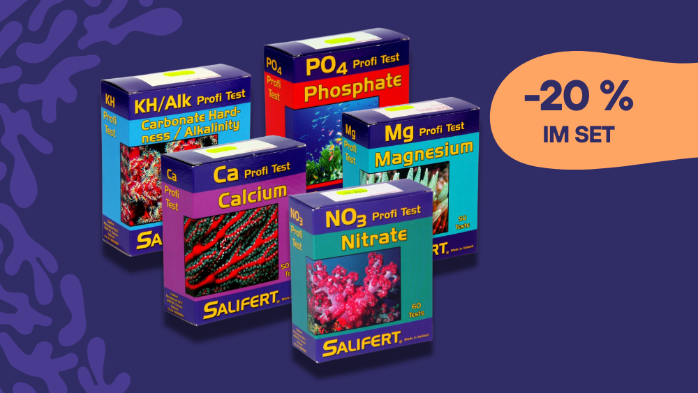 Salifert Test 5er Sparpaket (KH, CA, MG, NO3, PO4)