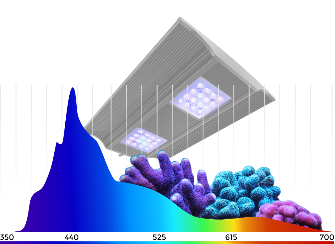 Giesemann VERVVE pro marine irridium metallic (160 W)