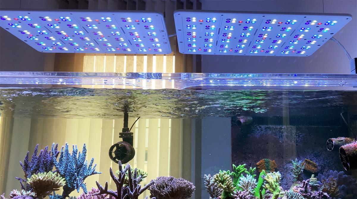 ATI Straton Pro G2 204 LED anthrazit (max. Ausleuchtung 100x80cm)