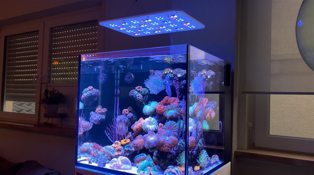*NEU* ATI Straton Pro G2 204 LED weiß (max. Ausleuchtung 100x80cm)
