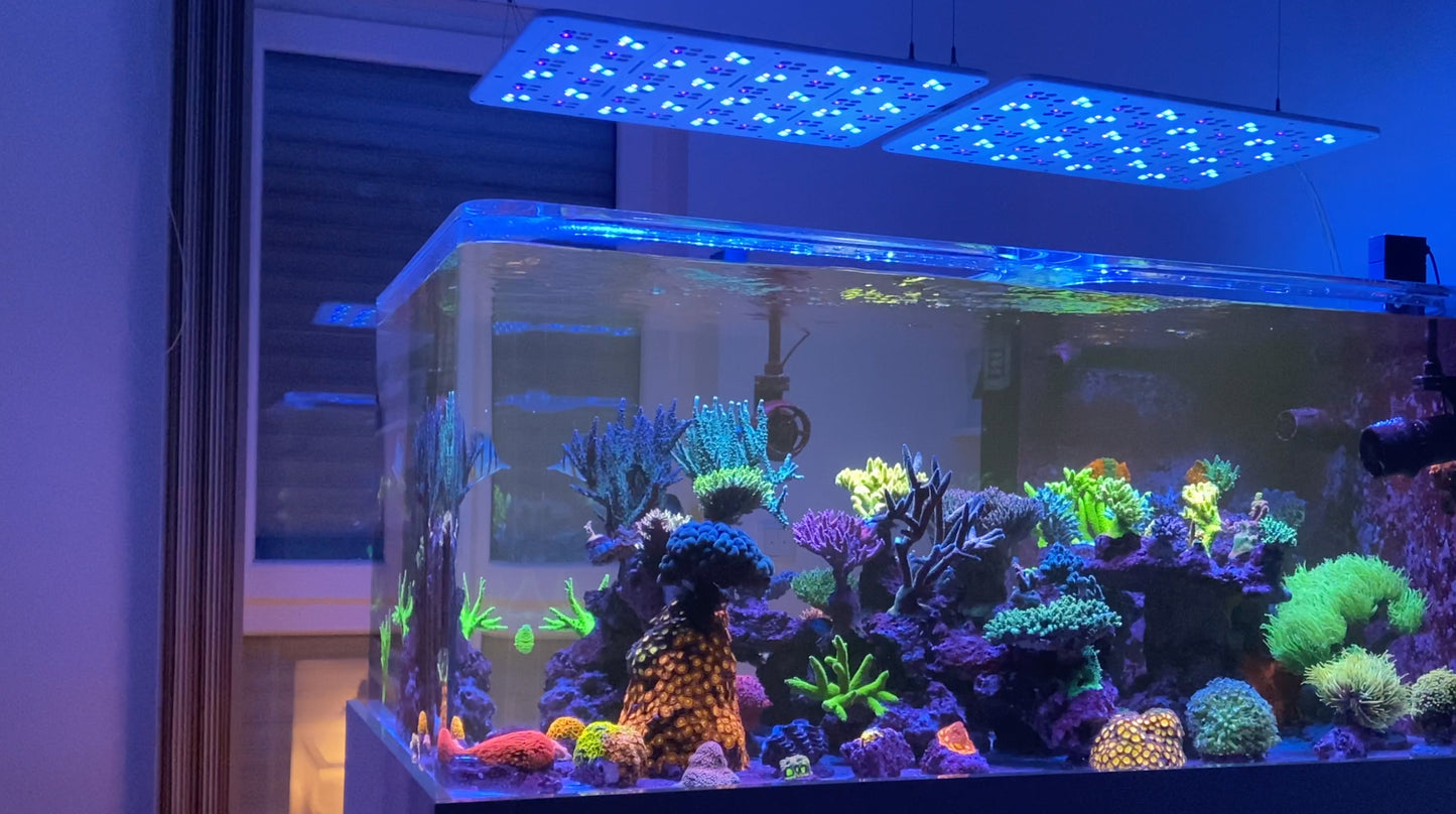 *NEU* ATI Straton Pro G2 204 LED weiß (max. Ausleuchtung 100x80cm)