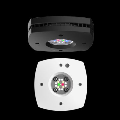 AI Prime 16HD Freshwater schwarz