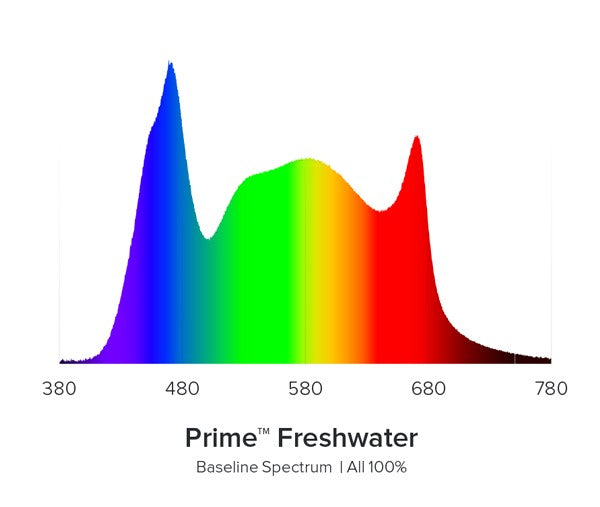 AI Prime 16HD Freshwater weiß