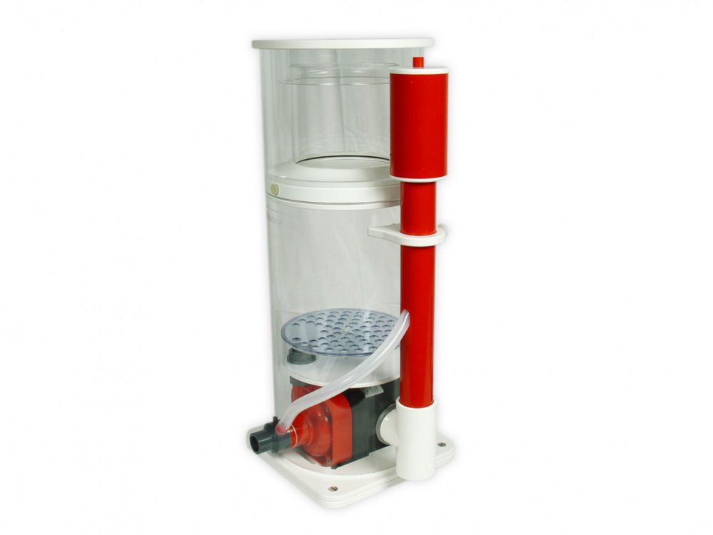 Royal Exclusiv Mini Bubble King 200 VS13 mit RD3 Mini Speedy