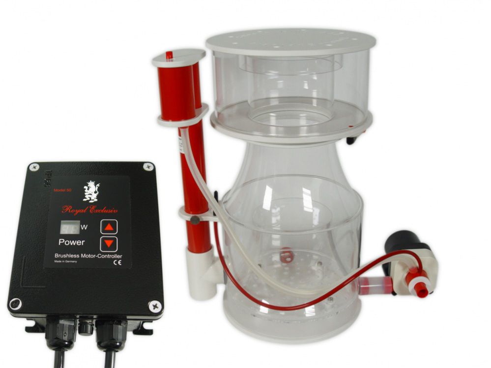 Royal Exclusiv Bubble King Supermarin 300 + RD3 Speedy 60W
