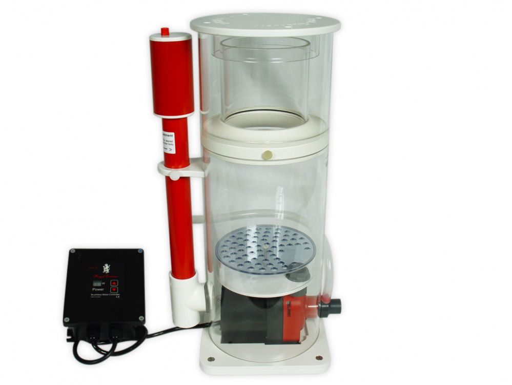 Royal Exclusiv Mini Bubble King 200 VS13 mit RD3 Mini Speedy / extra schmale VS