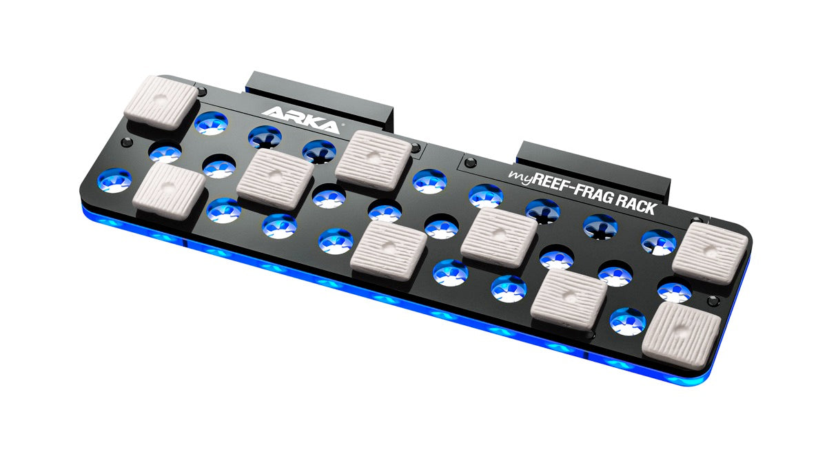 ARKA myReef CoralPlugs Ablegersteine quadratisch 27 mm (12 St.)