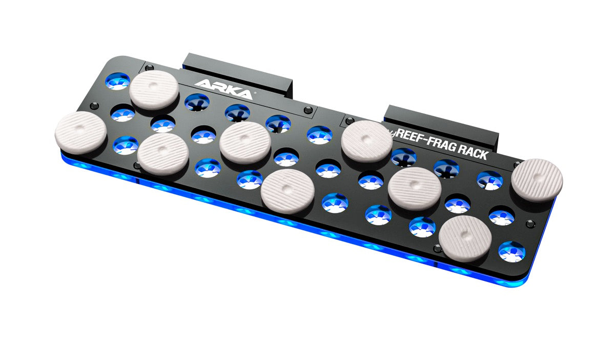 ARKA myReef CoralPlugs Ablegersteine rund 30 mm (12 St.)