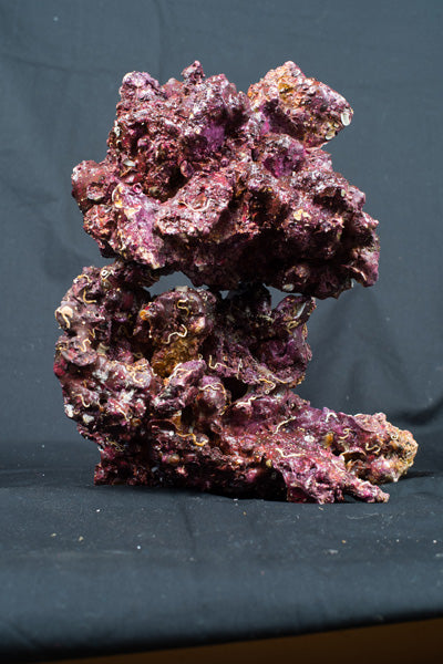 Real Reef Rock Mix 25 kg Box