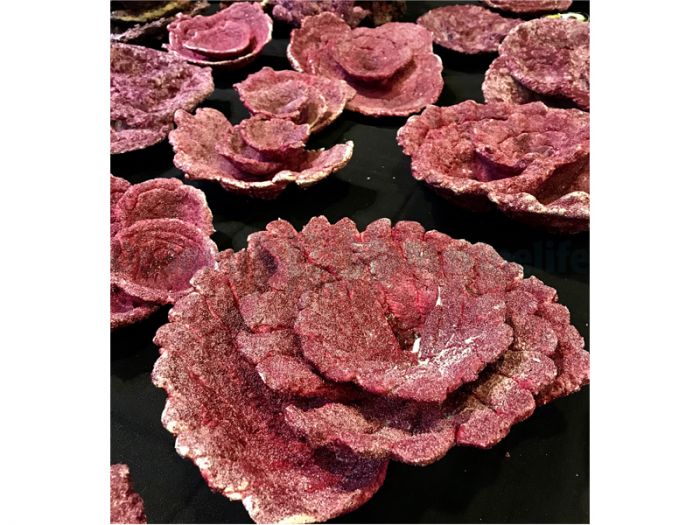Real Reef Plate Corals (10 St.) 25 kg