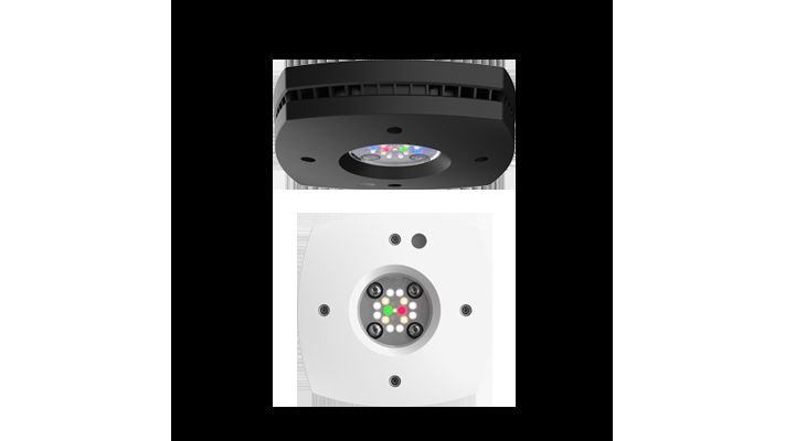 AI Prime 16HD Freshwater schwarz