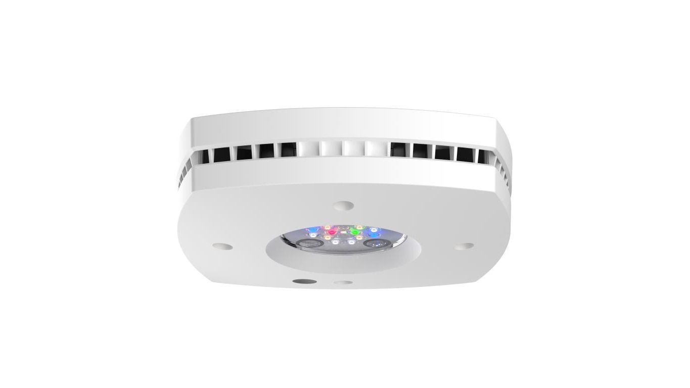 AI Prime 16HD Freshwater weiß