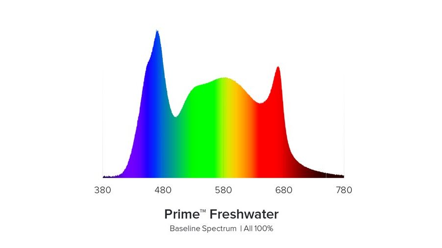 AI Prime 16HD Freshwater weiß