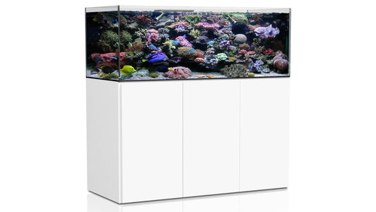 Aqua Medic Armatus 575 XD weiß 150x65x55 cm