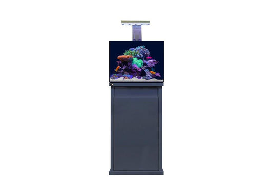 D-D Reef-Pro 600 Anthracite Gloss Aquariumsystem 60x60x46cm