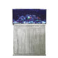 D-D Reef-Pro 900 Driftwood Concrete Aquariumsystem 90x60x46cm