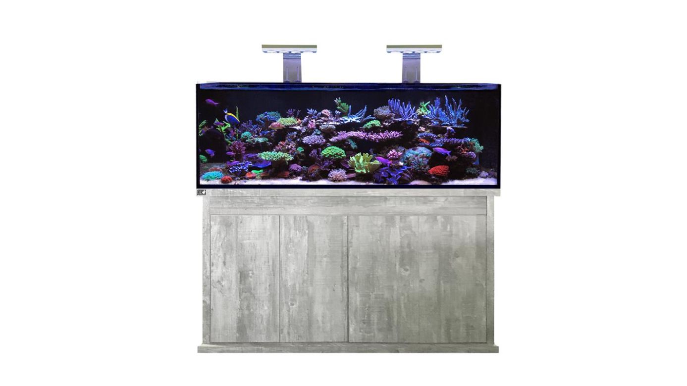 D-D Reef-Pro 1500 Driftwood Concrete Aquariumsystem 150x60x56cm