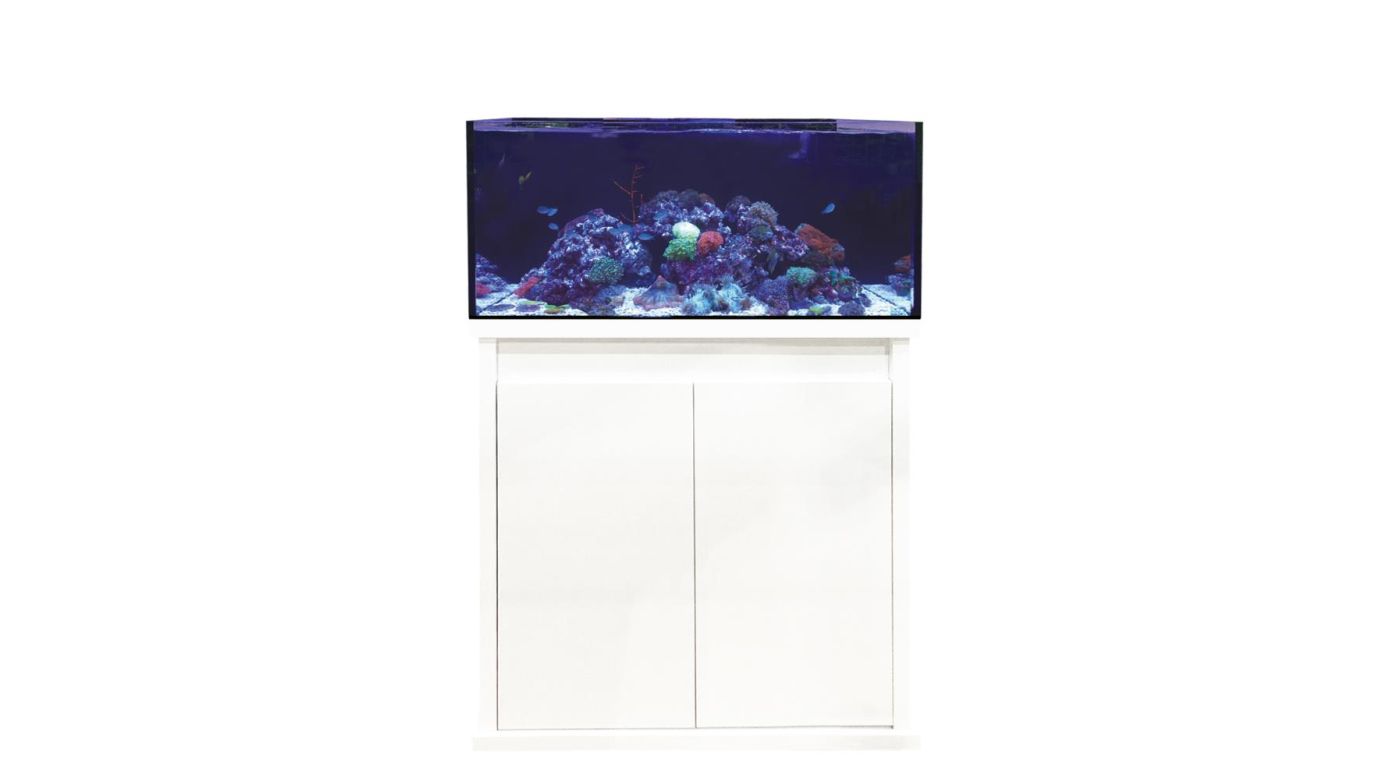 D-D Reef-Pro 900 D-LUX White Gloss Aquarium inkl. Beleuchtung, Riffaufbau, Salz